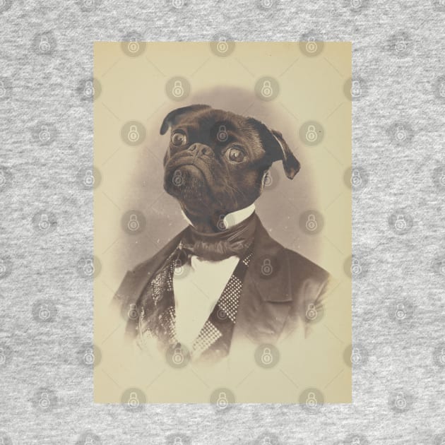 Gentleman Pug by luigitarini